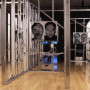 Interaction-forte, installation multimédia interactive, 240 x 480 x 500 cm, Maison de la culture Gatineau, 2001